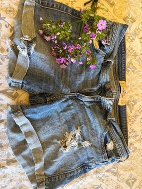 Hollister Light Blue Distressed Denim Jean Shorts